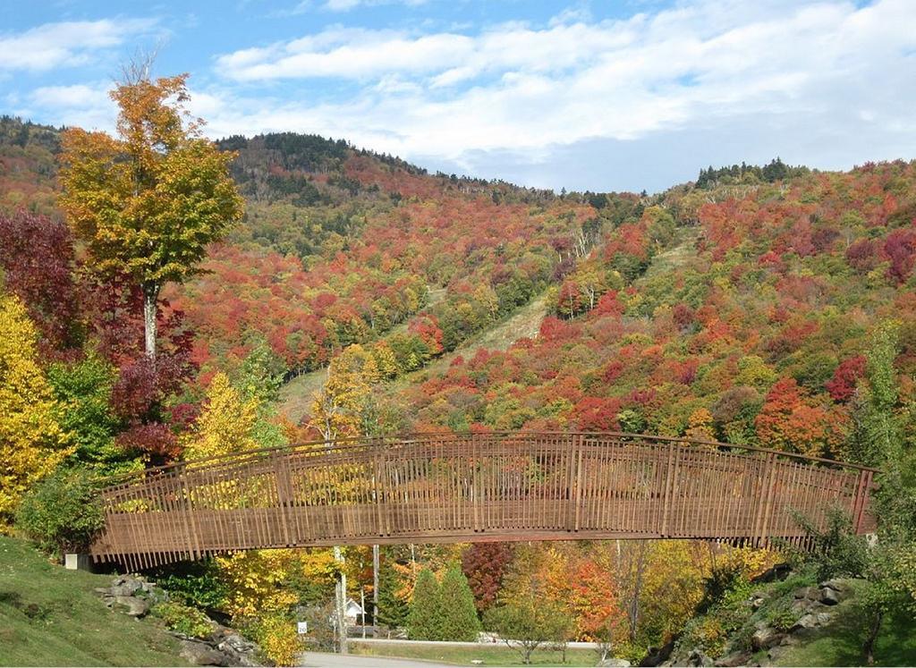 Ski In/Out Trailside Townhome Killington Luaran gambar