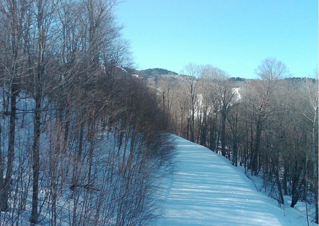 Ski In/Out Trailside Townhome Killington Luaran gambar